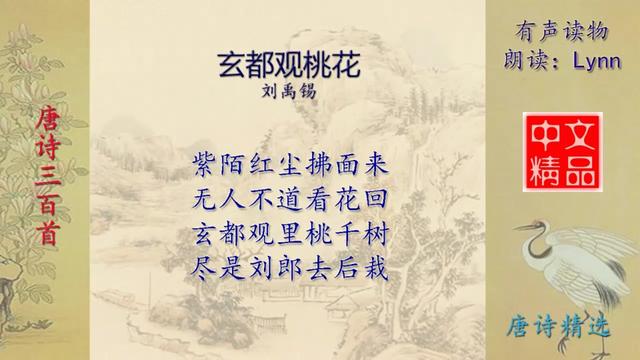 玄都观桃花 唐诗三百首 配乐朗诵与释义