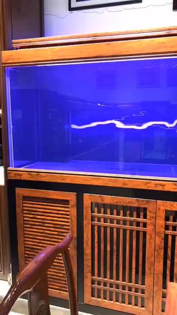 金海王鱼缸 鱼缸  实景图